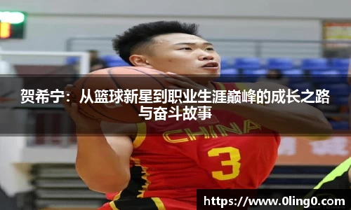 贺希宁：从篮球新星到职业生涯巅峰的成长之路与奋斗故事