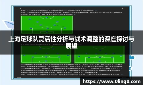 上海足球队灵活性分析与战术调整的深度探讨与展望