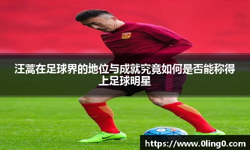 汪蒿在足球界的地位与成就究竟如何是否能称得上足球明星